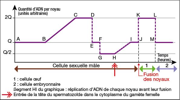 imgUpload/imageExosChapitretemps1592601880.png